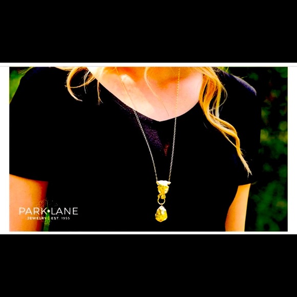 Park Lane Jaguar necklace - Picture 2 of 7